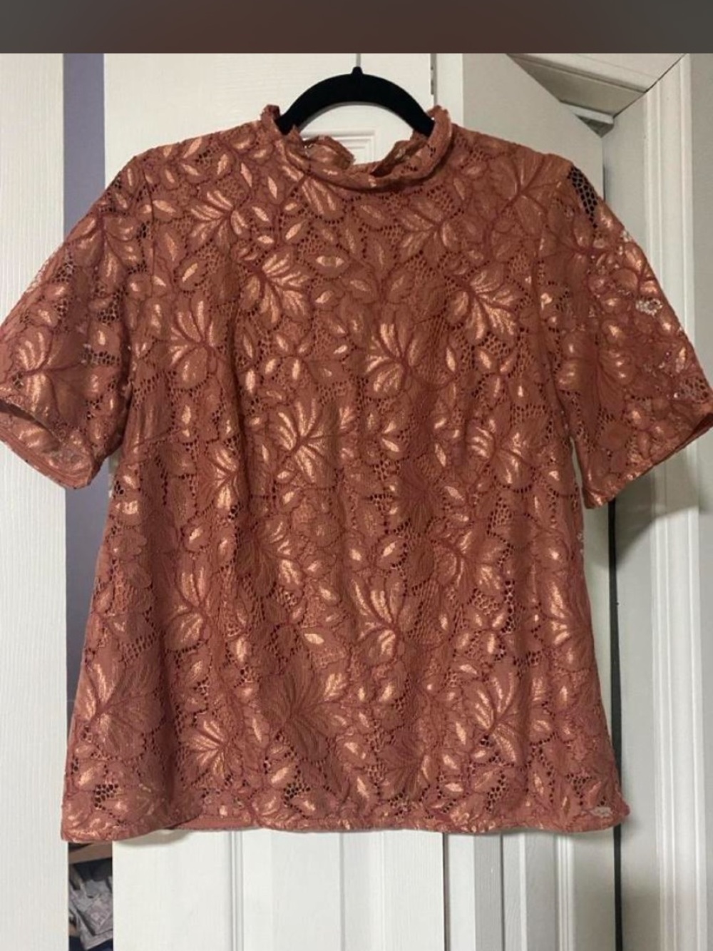 H&M Rose Lace Short Sleeve Blouse